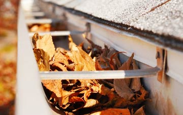 Ardleigh Green gutter cleaning companies