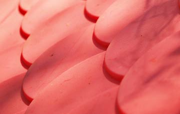 Ardleigh Green plastic roof costs